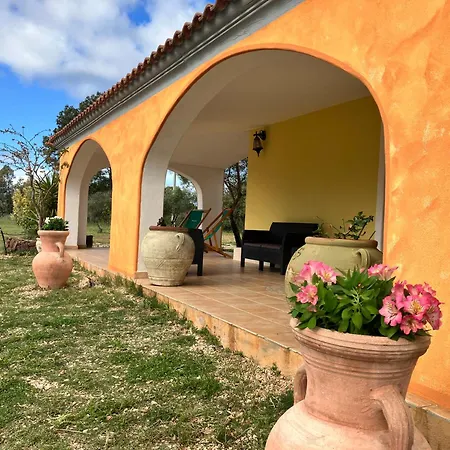 Grecale Cala Liberotto